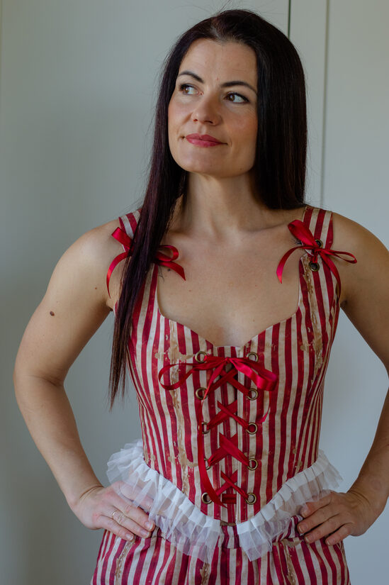 Bordeaux stripes vintage corset