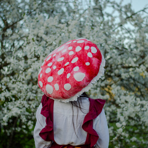 Colorful mushroom - made from tie dye velvet